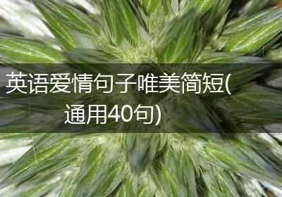 英语爱情句子唯美简短(通用40句)