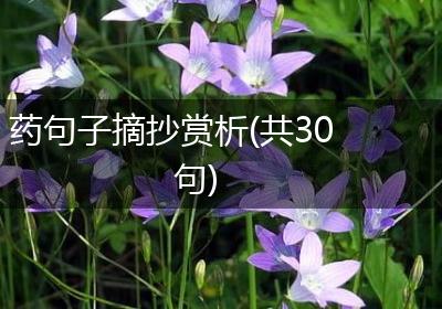 药句子摘抄赏析(共30句)