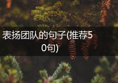 表扬团队的句子(推荐50句)