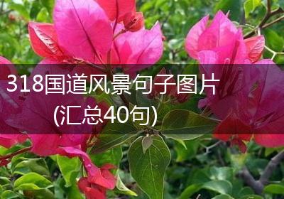 318国道风景句子图片(汇总40句)