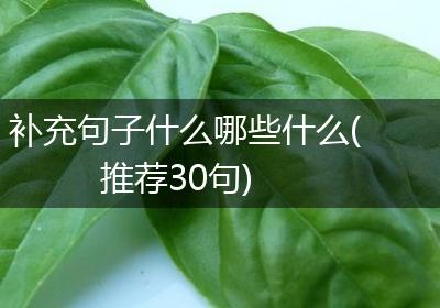 补充句子什么哪些什么(推荐30句)