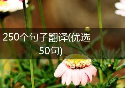 250个句子翻译(优选50句)