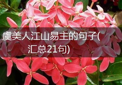 虞美人江山易主的句子(汇总21句)
