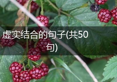 虚实结合的句子(共50句)