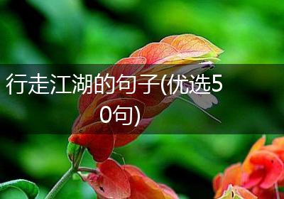 行走江湖的句子(优选50句)