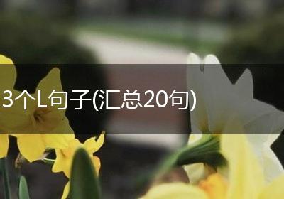 3个L句子(汇总20句)