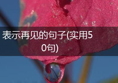 表示再见的句子(实用50句)