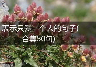 表示只爱一个人的句子(合集50句)