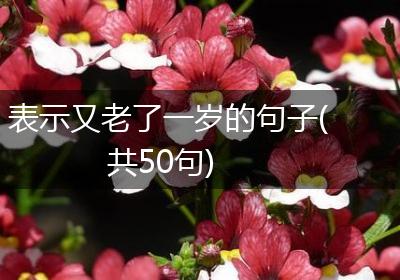 表示又老了一岁的句子(共50句)