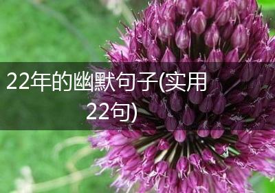 22年的幽默句子(实用22句)