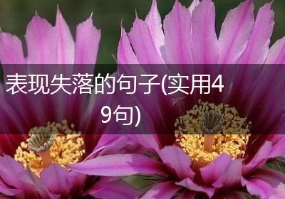 表现失落的句子(实用49句)