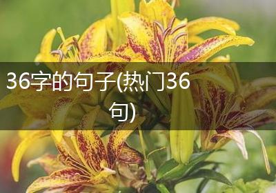 36字的句子(热门36句)