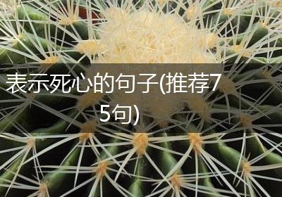 表示死心的句子(推荐75句)