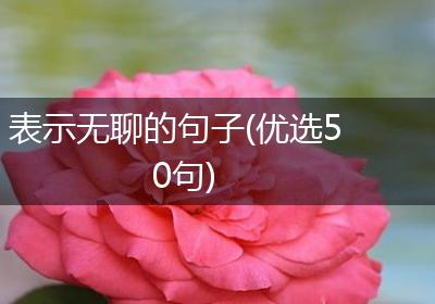 表示无聊的句子(优选50句)