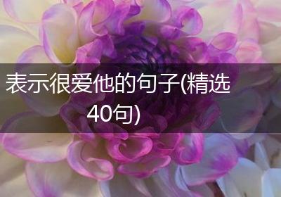 表示很爱他的句子(精选40句)