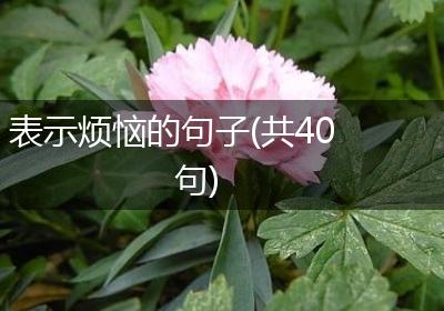 表示烦恼的句子(共40句)