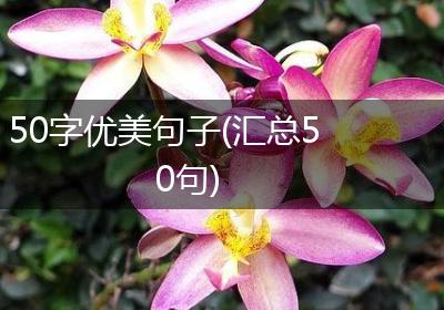50字优美句子(汇总50句)