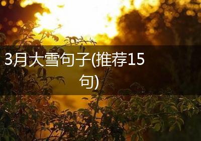 3月大雪句子(推荐15句)