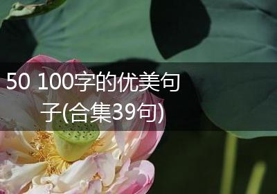 50 100字的优美句子(合集39句)