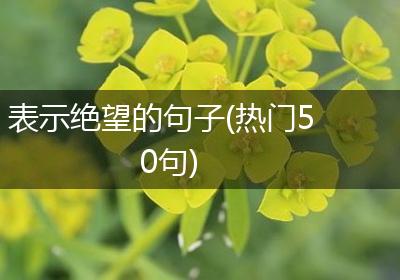 表示绝望的句子(热门50句)