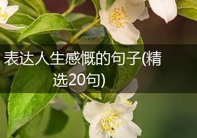 表达人生感慨的句子(精选20句)