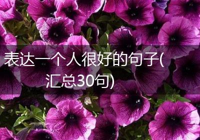 表达一个人很好的句子(汇总30句)