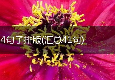 4句子排版(汇总41句)