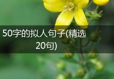 50字的拟人句子(精选20句)