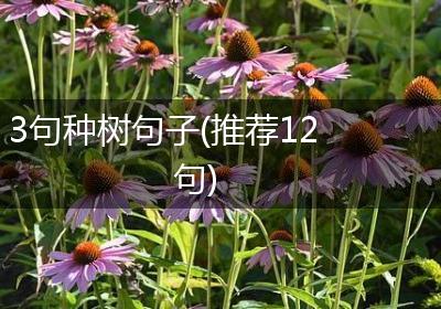 3句种树句子(推荐12句)