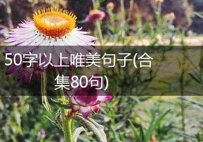 50字以上唯美句子(合集80句)
