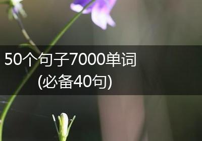 50个句子7000单词(必备40句)