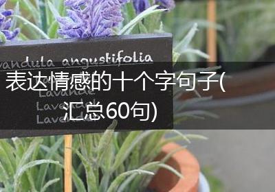表达情感的十个字句子(汇总60句)
