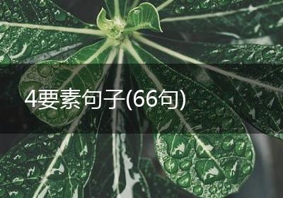 4要素句子(66句)