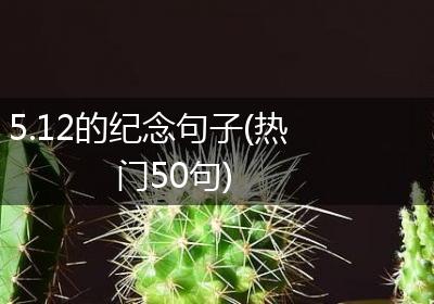 5.12的纪念句子(热门50句)