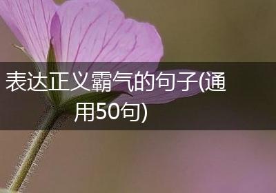 表达正义霸气的句子(通用50句)
