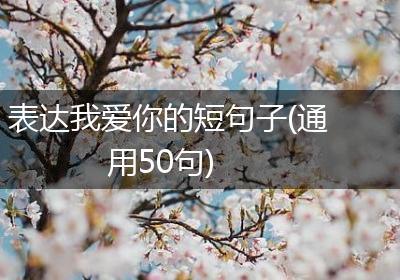 表达我爱你的短句子(通用50句)