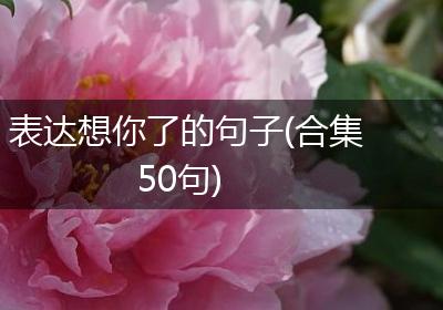 表达想你了的句子(合集50句)