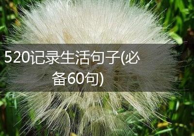520记录生活句子(必备60句)