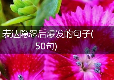 表达隐忍后爆发的句子(50句)