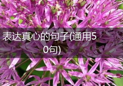 表达真心的句子(通用50句)