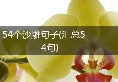 54个沙雕句子(汇总54句)