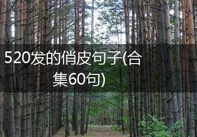 520发的俏皮句子(合集60句)