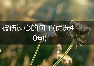 被伤过心的句子(优选40句)