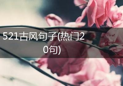 521古风句子(热门20句)