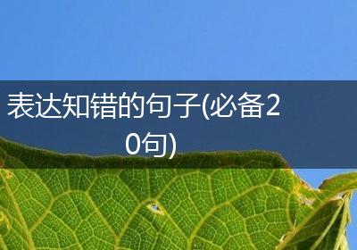 表达知错的句子(必备20句)