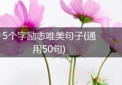 5个字励志唯美句子(通用50句)