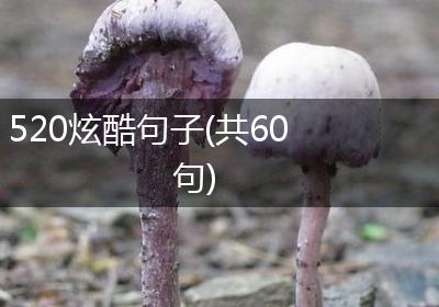 520炫酷句子(共60句)