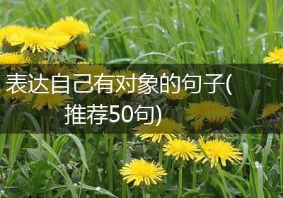 表达自己有对象的句子(推荐50句)