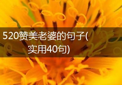 520赞美老婆的句子(实用40句)