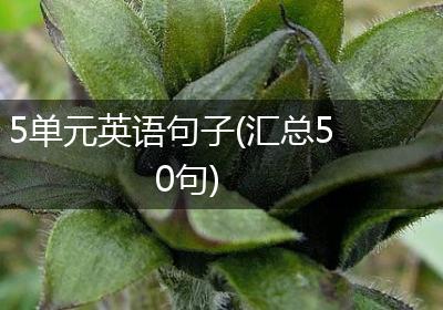 5单元英语句子(汇总50句)